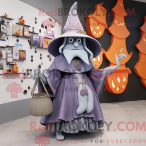Gray Witch S Hat...