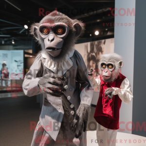 Sølv Capuchin Monkey maskot...