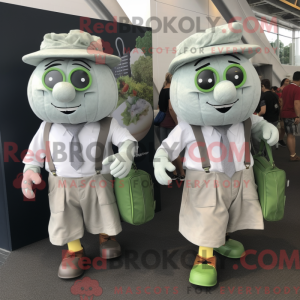 Szara peklowana wołowina i...