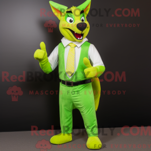 Limegrøn Dingo...