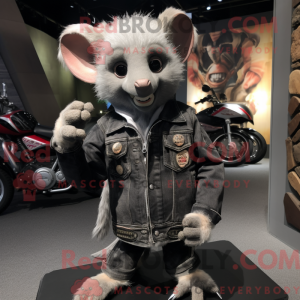 Grå Aye-Aye...