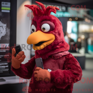 Maroon Rooster...