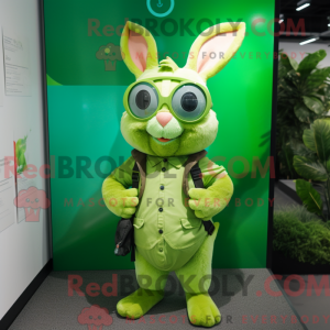 Lime Green Wild Rabbit...
