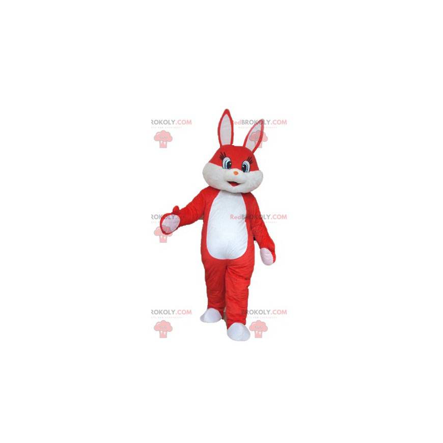 Mascote coelho vermelho e branco muito doce e fofo -