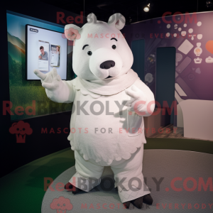 White Sow maskot drakt...