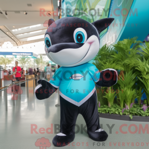 Teal Killer Whale...