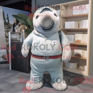 Silver Walrus mascot...