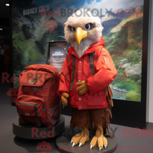 Costume mascotte de l Aigle...