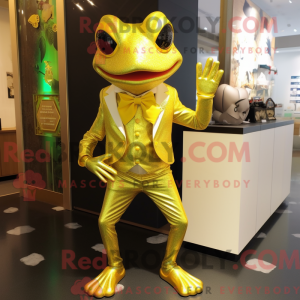 Gold Frog mask drakt...