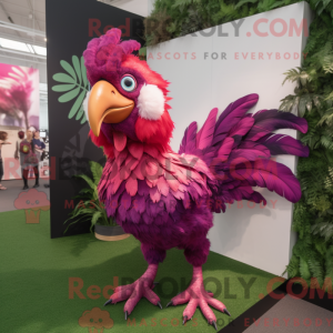 Magenta Roosters...