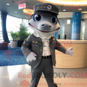 Gray Barracuda mascot...