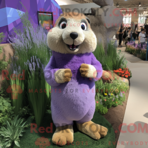 Lavendel murmeldyr maskot...