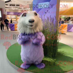 Lavendel...