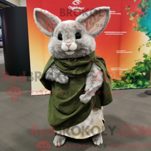 Olive Chinchilla...