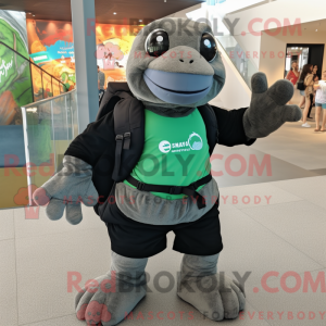 Sortehavsskildpadde maskot...