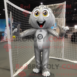 Silver Volleyball Net...