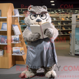 Sølv murmeldyr maskot...
