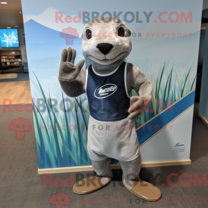 Costume mascotte de Silver...