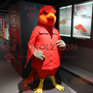Red Canary maskot kostume...