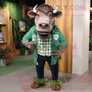 Disfraz de mascota de...
