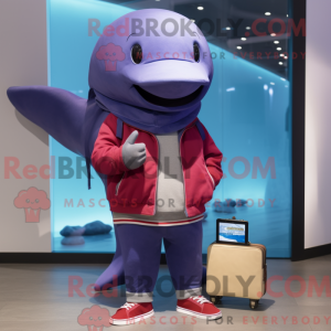 Maroon Blue...