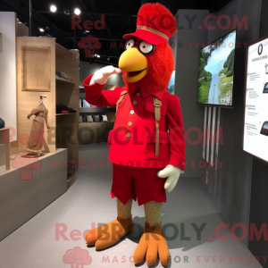 Costume mascotte de poulet...