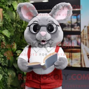Grijze Chinchilla...