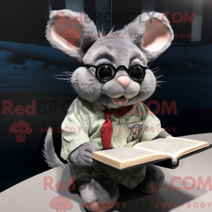Grijze Chinchilla...