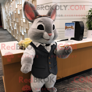 Chinchilla maskot kostume...