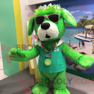Zielony hund maskot drakt...