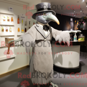 Grå Kiwi-maskotdraktfigur...