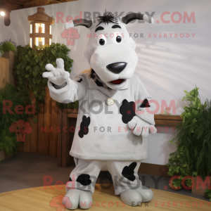 Sølv Holstein...