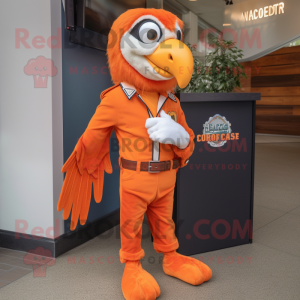 Orange Hawk mascotte...