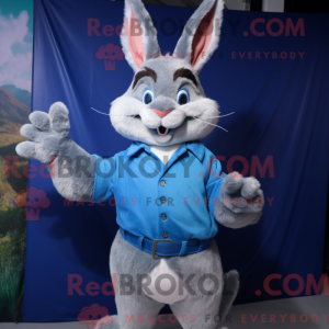 Blue Wild Rabbit...