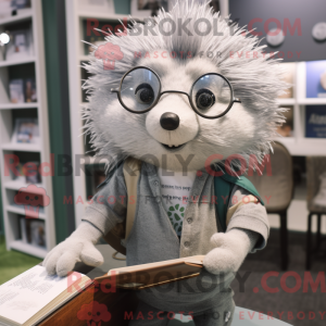 Silver Hedgehog mascot...