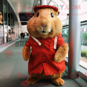 Rust Guinea Pig mascot...