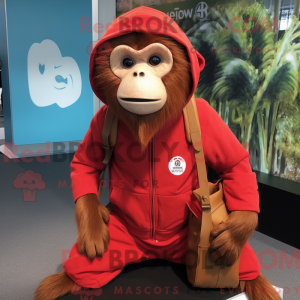 Red Capuchin Monkey maskot...