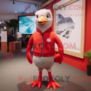 Red Gull maskot kostyme...