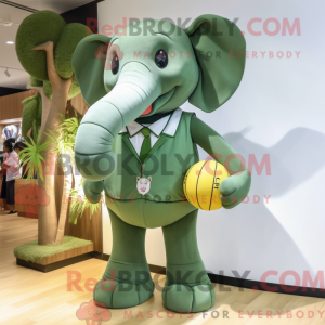 Olive Elephant...