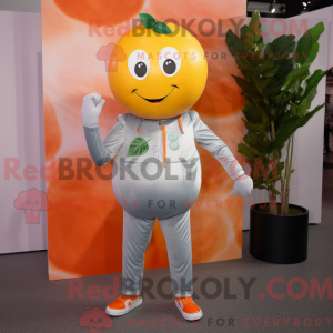 Maskottchenkostüm Silber...