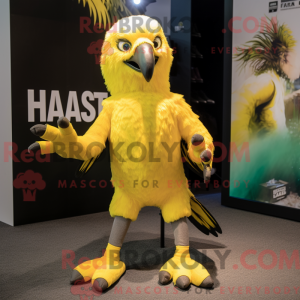 Disfraz de mascota del...