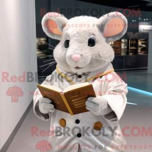 Costume mascotte de Hamster...