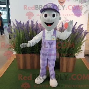 Lavendel boeket bloemen...