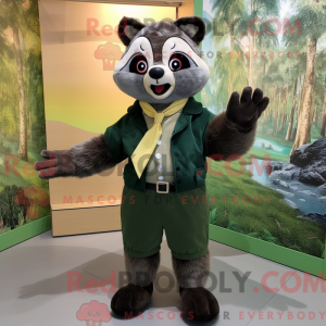Olive Raccoon...