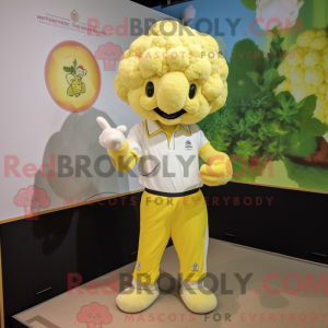 Costume de mascotte de...