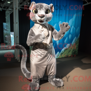 Silver Jaguarundi mascot...