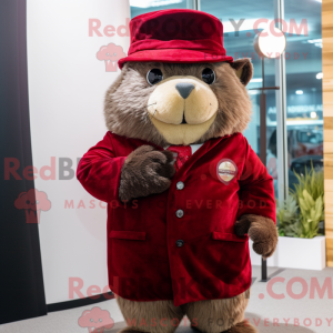 Maroon Guinea Pig mascot...