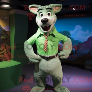 Groene Dingo...
