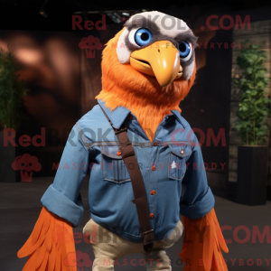 Orange Hawk maskot kostume...