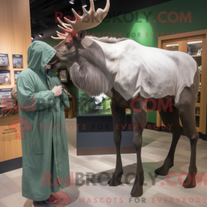 Gray Irish Elk mascot...